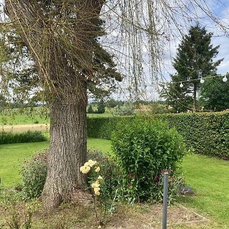 Chambre D Hote Olne Bagian luar foto