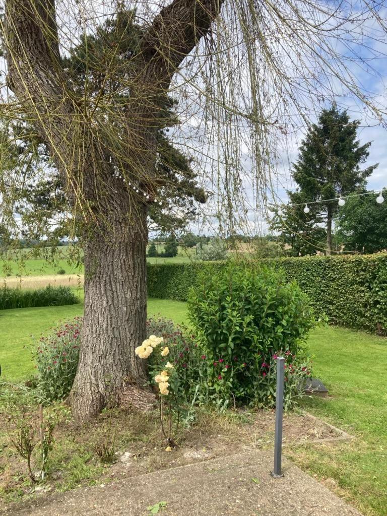 Chambre D Hote Olne Bagian luar foto